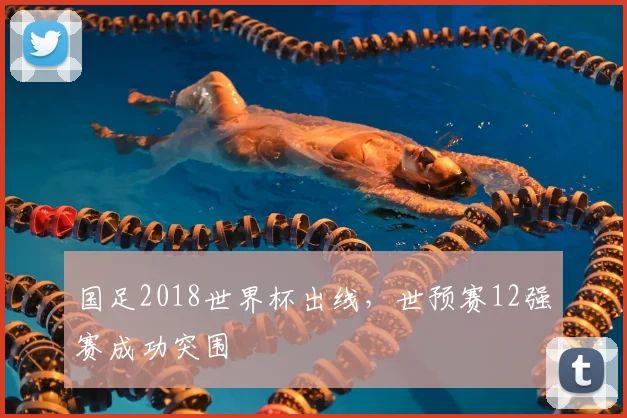 国足2018世界杯出线,世预赛12强赛成功突围